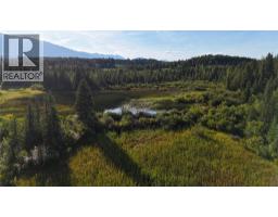 4265 Giant Mine Road, Spillimacheen, BC V0A1P0 Photo 29
