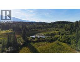 4265 Giant Mine Road, Spillimacheen, BC V0A1P0 Photo 30