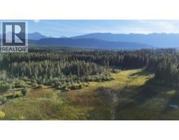 4265 Giant Mine Road, Spillimacheen, BC V0A1P0 Photo 33