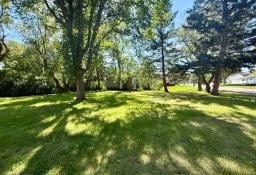 0 Galt Street W, Virden, MB R0M2C0 Photo 8