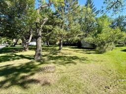 0 Galt Street W, Virden, MB R0M2C0 Photo 10