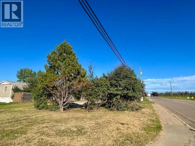 5204 41 Street, Fort Nelson, British Columbia, V0C1R0, Fort Nelson, British Columbia — photo 2 of 3