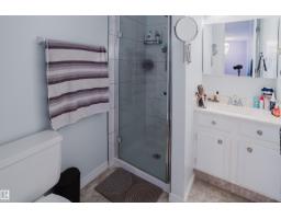 15256 122 St Nw, Edmonton, AB T5X1P5 Photo 21