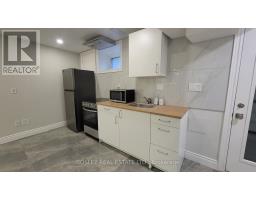 Lower Level - 623 Dupont Street, Toronto, ON M6G1Z3 Photo 18
