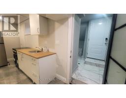 Lower Level - 623 Dupont Street, Toronto, ON M6G1Z3 Photo 24