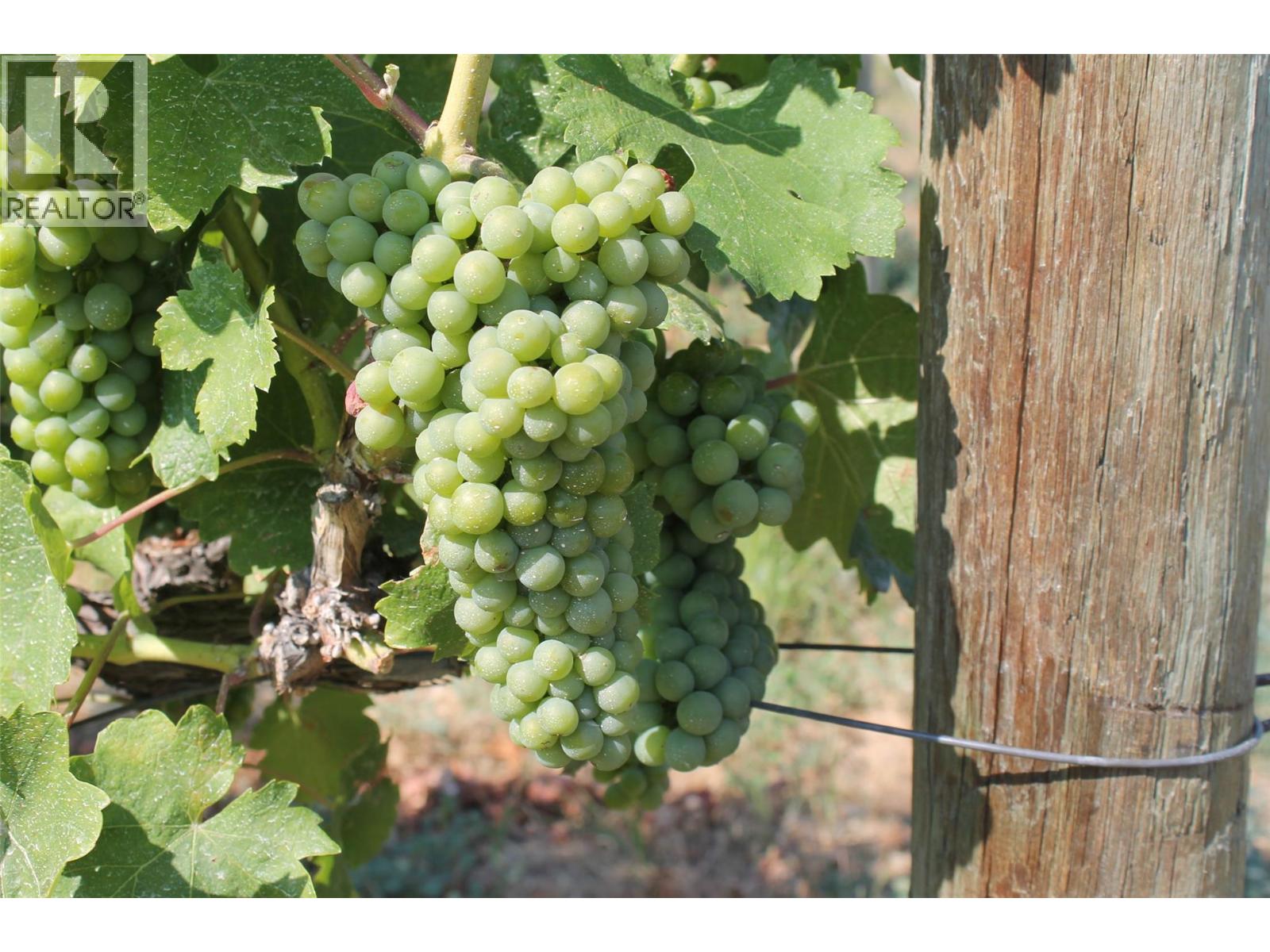 Okanagan listing photo 4