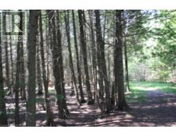 19-45 Spry Lake Road, Oliphant, ON N0H2T0 Photo 6