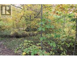 19-45 Spry Lake Road, Oliphant, ON N0H2T0 Photo 7