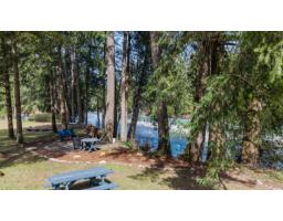 295 Forrest Crescent, Hope, Hope, BC V0X1L4 Photo 39