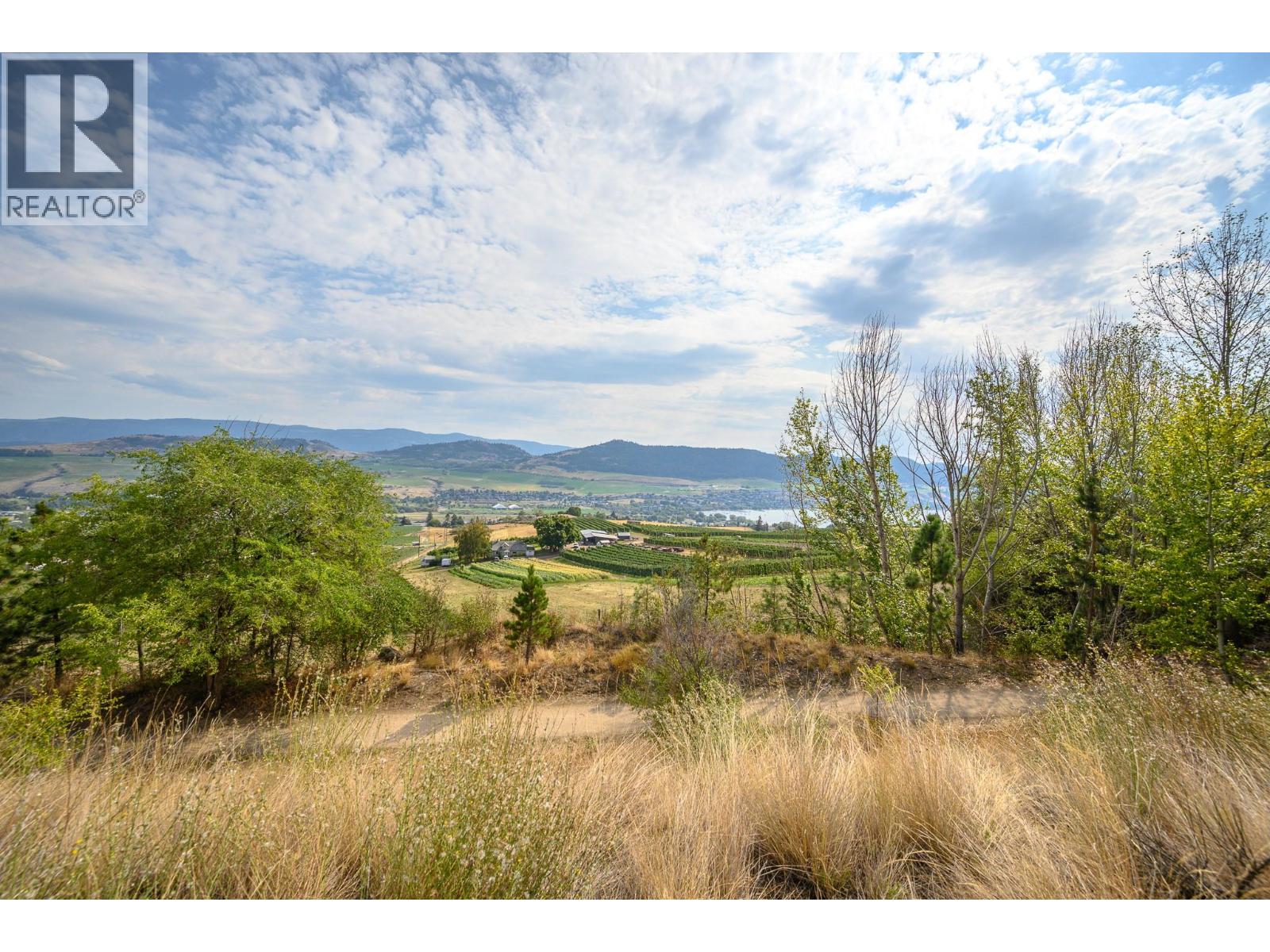 206 Vineyard Way - 34