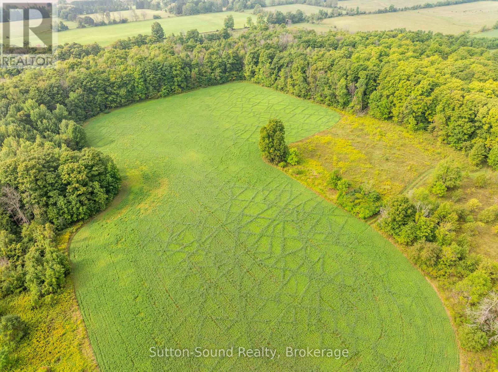 130 Maple Ridge Road, Georgian Bluffs, Ontario, N4K5N4, Georgian Bluffs, Ontario — photo 4 of 5