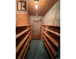 86 1st Street Sw, Wadena, SK S0A4J0 Photo 19