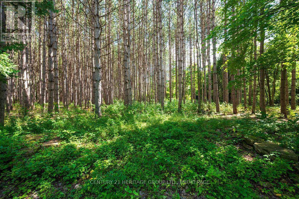 817 Powers Road, Tay Valley, Ontario, K7H3C5, Tay Valley, Ontario — photo 1 of 5