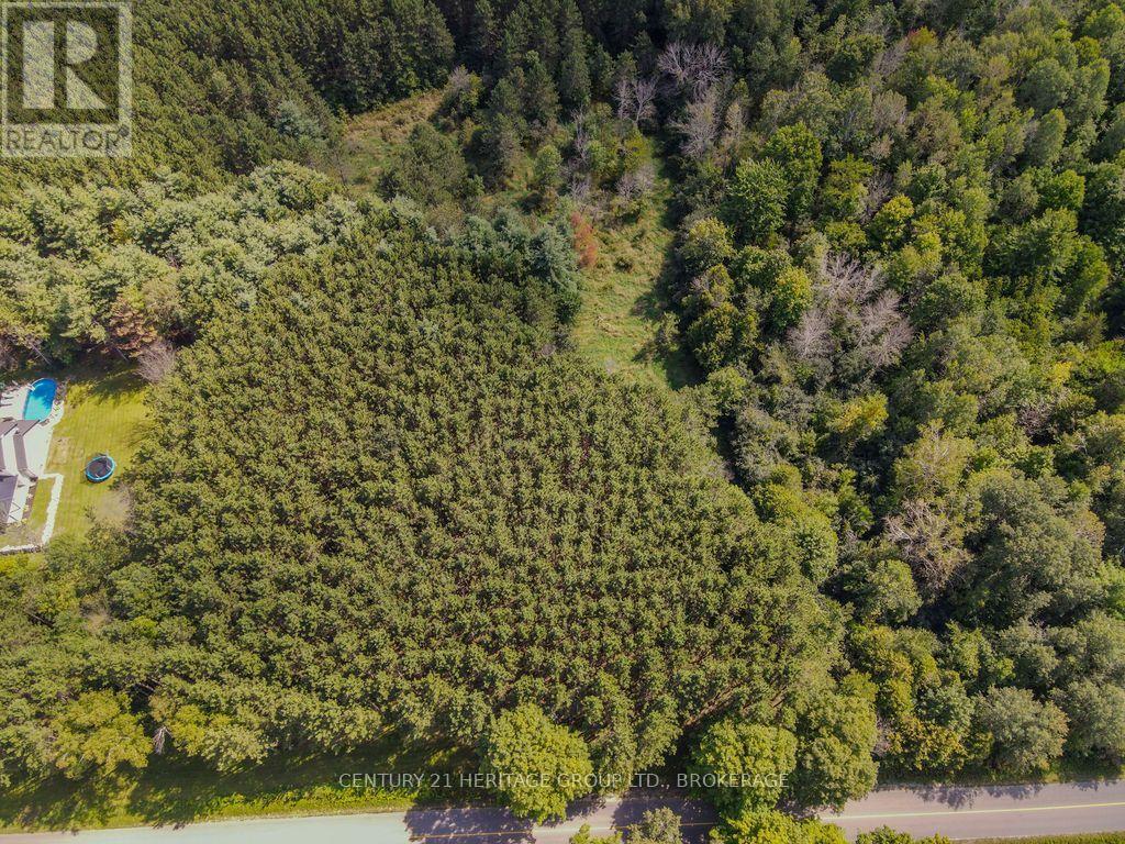 817 Powers Road, Tay Valley, Ontario, K7H3C5, Tay Valley, Ontario — photo 4 of 5