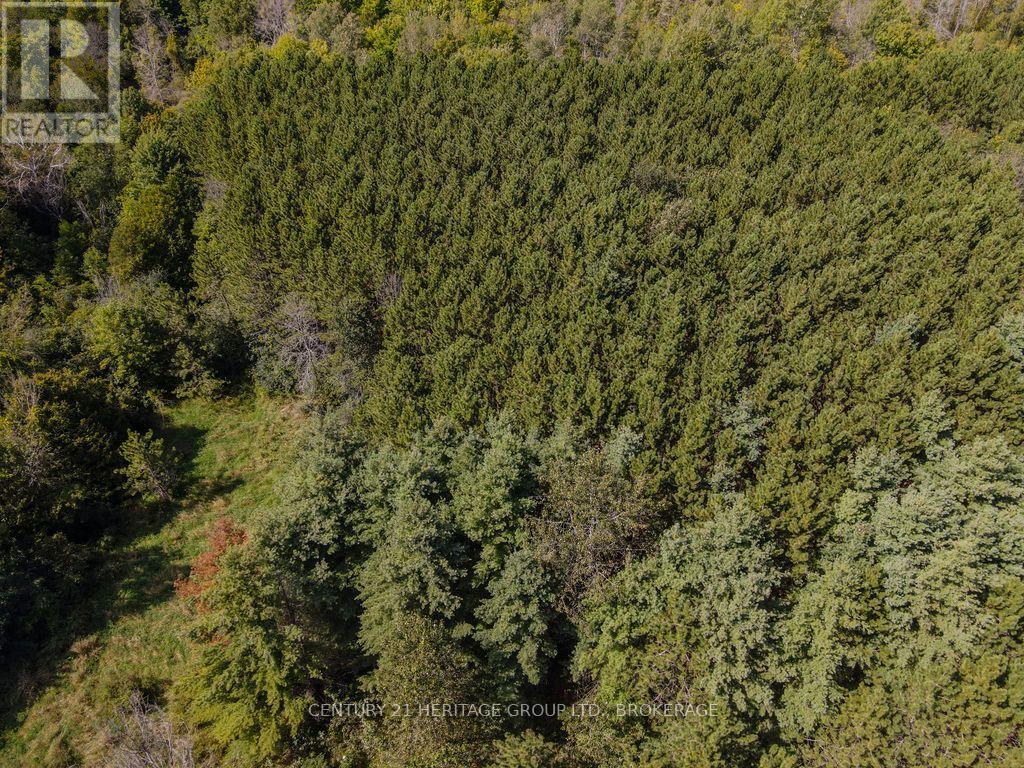 817 Powers Road, Tay Valley, Ontario, K7H3C5, Tay Valley, Ontario — photo 5 of 5