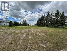 119 Main Street, Lanigan, SK S0K2M0 Photo 7
