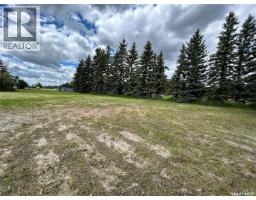 119 Main Street, Lanigan, SK S0K2M0 Photo 10