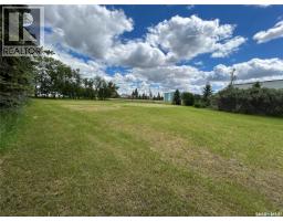 119 Main Street, Lanigan, SK S0K2M0 Photo 13