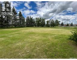 119 Main Street, Lanigan, SK S0K2M0 Photo 20