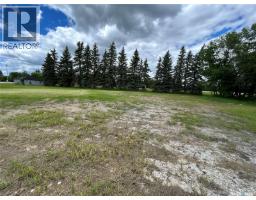 119 Main Street, Lanigan, SK S0K2M0 Photo 21