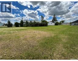 119 Main Street, Lanigan, SK S0K2M0 Photo 12