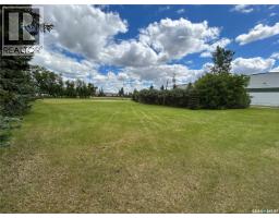 119 Main Street, Lanigan, SK S0K2M0 Photo 14