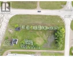 119 Main Street, Lanigan, SK S0K2M0 Photo 30