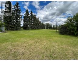 119 Main Street, Lanigan, SK S0K2M0 Photo 16