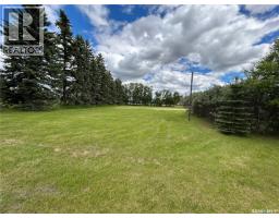 119 Main Street, Lanigan, SK S0K2M0 Photo 17