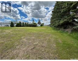 119 Main Street, Lanigan, SK S0K2M0 Photo 11