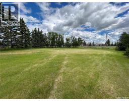 119 Main Street, Lanigan, SK S0K2M0 Photo 19