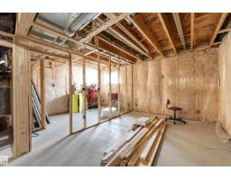 1613 Enright Wy Nw, Edmonton, AB T6M0Z3 Photo 46