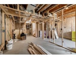 1613 Enright Wy Nw, Edmonton, AB T6M0Z3 Photo 44