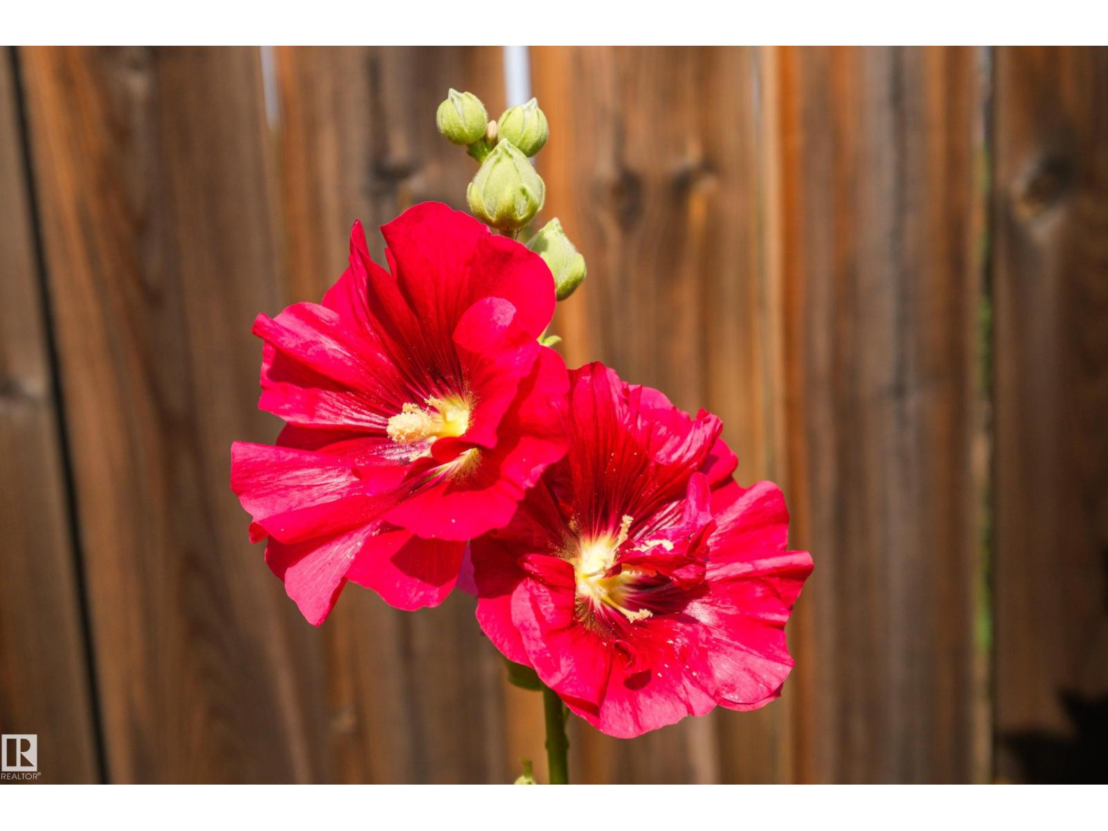 612 175A ST SW - Image 35