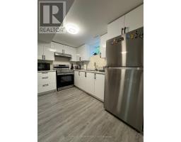 Lower - 50 Addison Street, Richmond Hill, ON L4C7L8 Photo 10