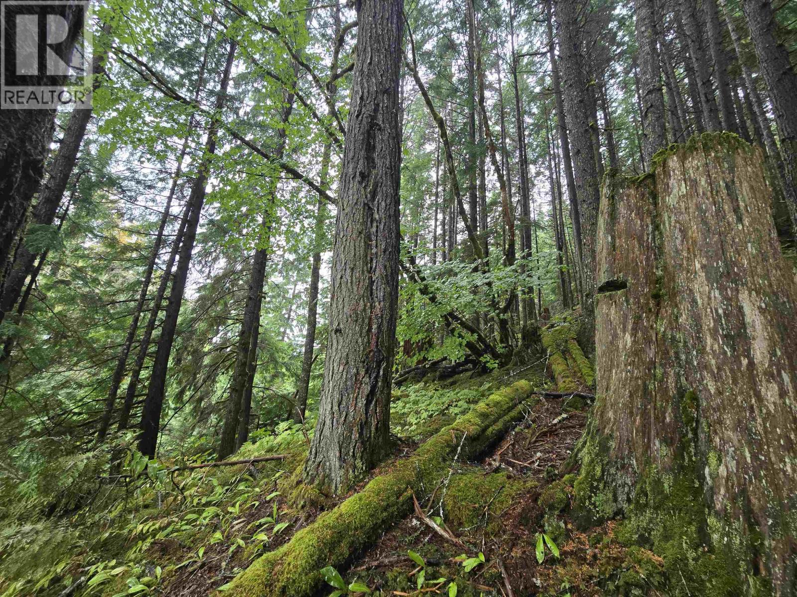 #LOT A USK, Terrace, British Columbia, V8G0A8, Terrace, British Columbia — photo 4 of 5
