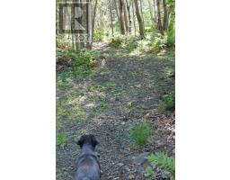 Lot (pid 05110853) Shore Road W, Litchfield, NS B0S1A0 Photo 15