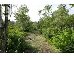 Lot (pid 05110853) Shore Road W, Litchfield, NS B0S1A0 Photo 25