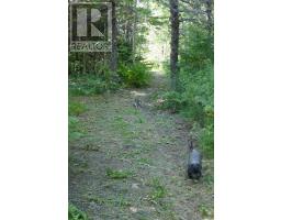 Lot (pid 05110853) Shore Road W, Litchfield, NS B0S1A0 Photo 14