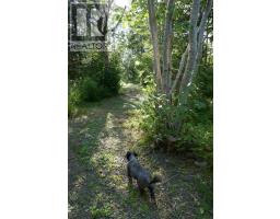 Lot (pid 05110853) Shore Road W, Litchfield, NS B0S1A0 Photo 16
