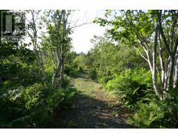 Lot (pid 05110853) Shore Road W, Litchfield, NS B0S1A0 Photo 21