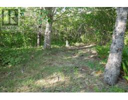 Lot (pid 05110853) Shore Road W, Litchfield, NS B0S1A0 Photo 20