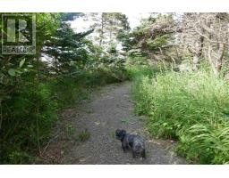 Lot (pid 05110853) Shore Road W, Litchfield, NS B0S1A0 Photo 31