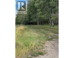 Portion Of Ne 2 74 9 W6 & Nw 2 74 9 W6, La Glace, AB T0H2J0 Photo 6