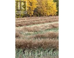 Portion Of Ne 2 74 9 W6 & Nw 2 74 9 W6, La Glace, AB T0H2J0 Photo 16