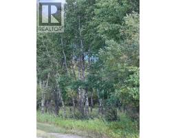Portion Of Ne 2 74 9 W6 & Nw 2 74 9 W6, La Glace, AB T0H2J0 Photo 12