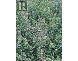 Portion Of Ne 2 74 9 W6 & Nw 2 74 9 W6, La Glace, AB T0H2J0 Photo 14