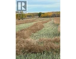 Portion Of Ne 2 74 9 W6 & Nw 2 74 9 W6, La Glace, AB T0H2J0 Photo 15