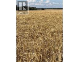 Portion Of Ne 2 74 9 W6 & Nw 2 74 9 W6, La Glace, AB T0H2J0 Photo 22