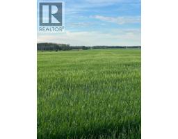 Portion Of Ne 2 74 9 W6 & Nw 2 74 9 W6, La Glace, AB T0H2J0 Photo 20